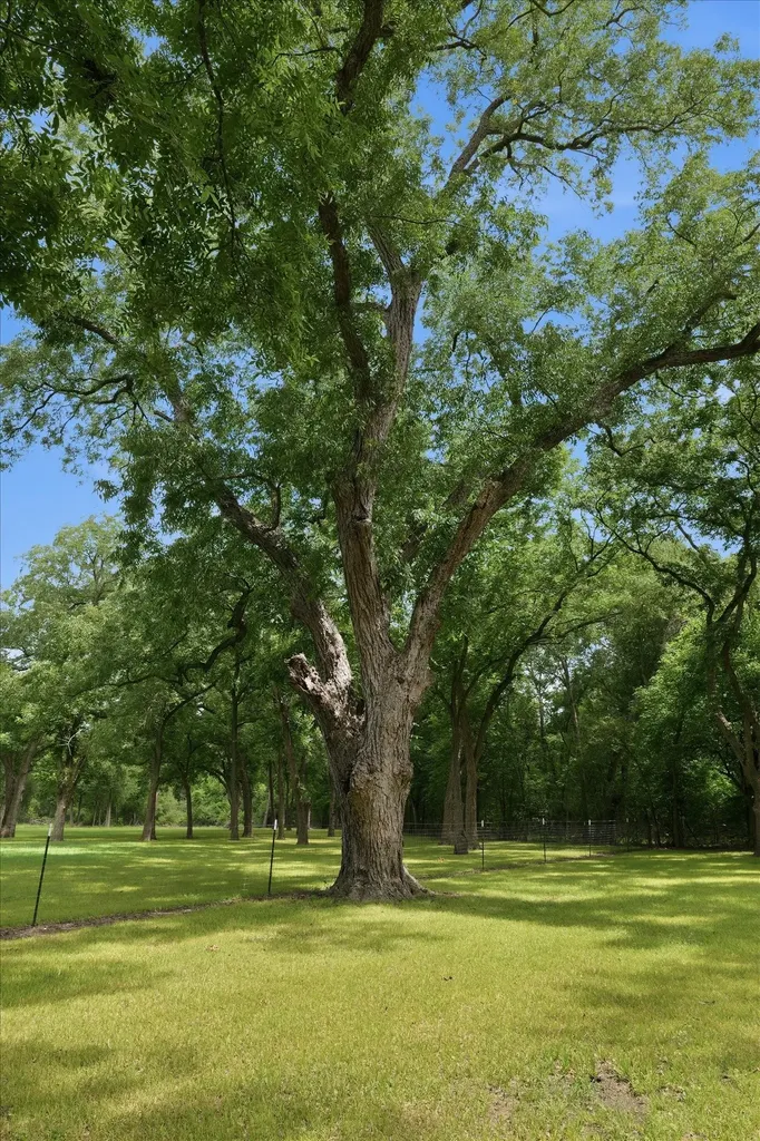 4258 Highway 164 E Groesbeck TX 76642