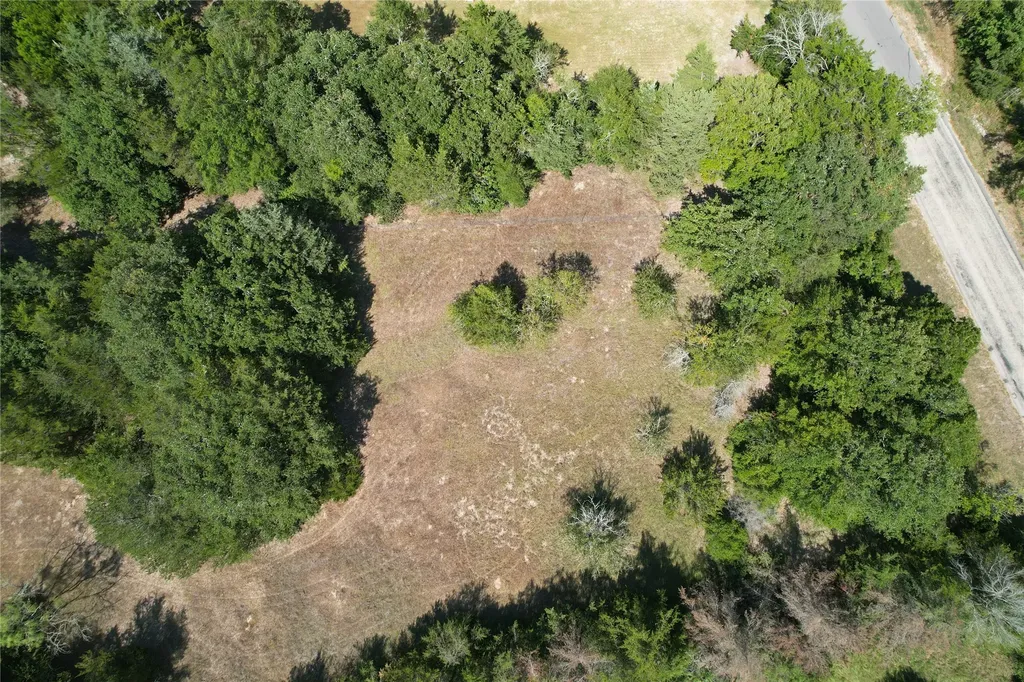 9373 Green Branch Loop Bryan TX 77808