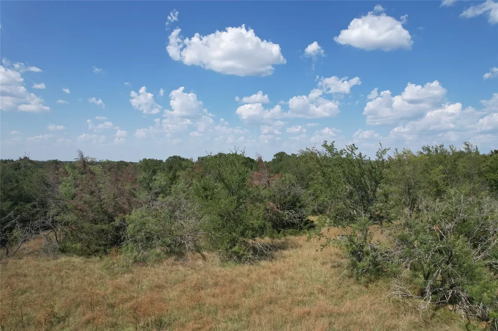 9373 Green Branch Loop Bryan TX 77808