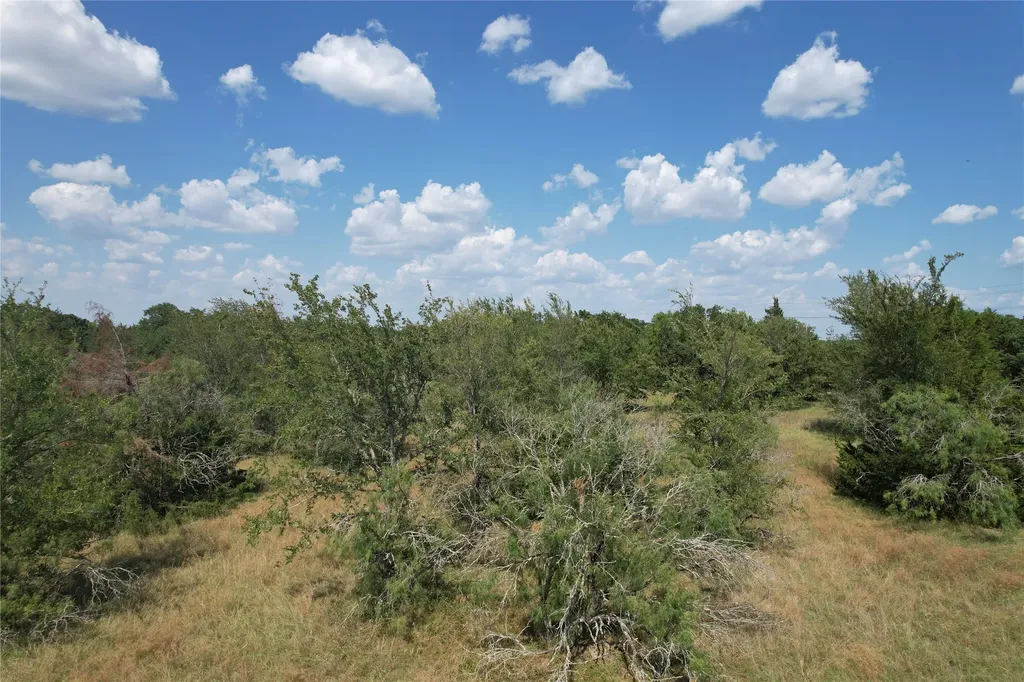 9373 Green Branch Loop Bryan TX 77808