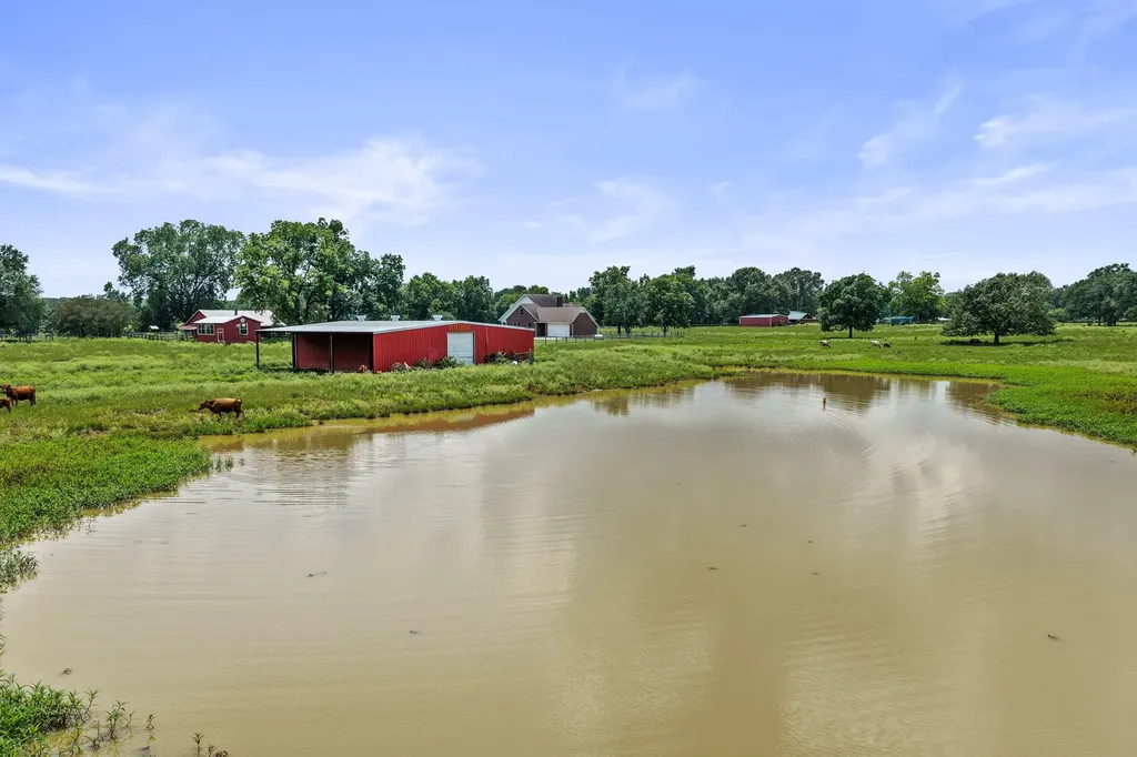 2199 County Road 3150 Cookville TX 75558