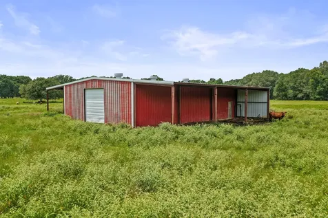 2199 County Road 3150 Cookville TX 75558