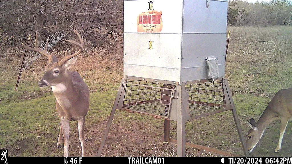 Tbd 02 W Fm 52 Whitt TX 76490