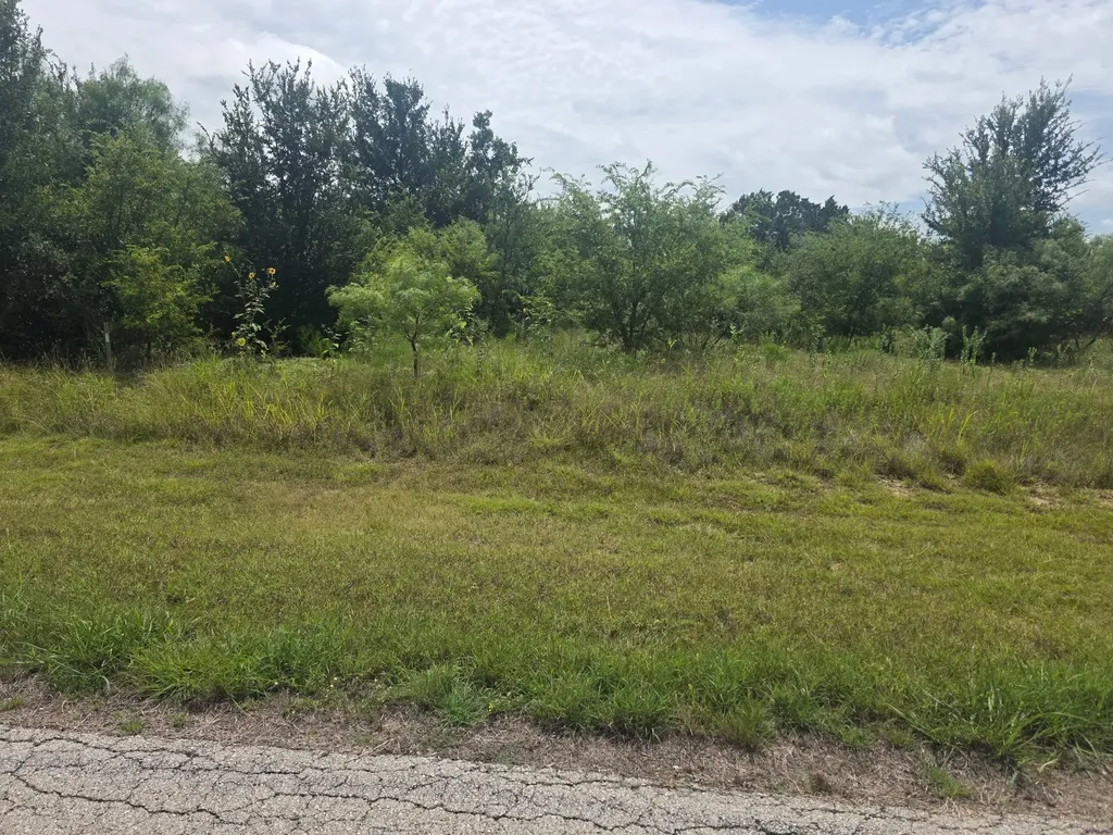 100 Turtle Dove Lane Graford TX 76449