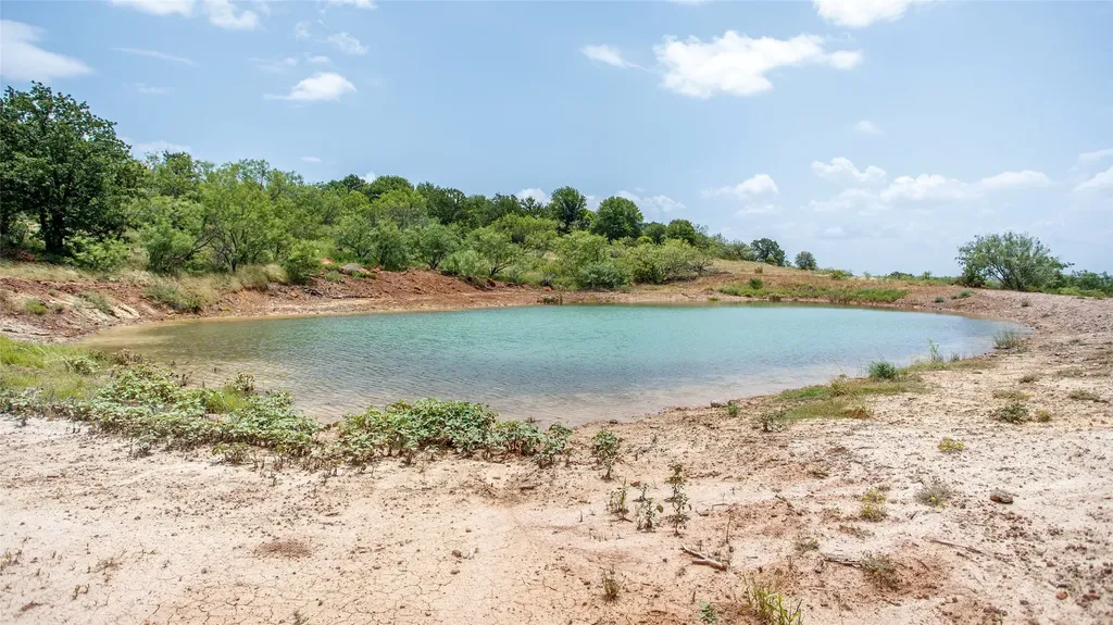 887 Briar Creek Graham TX 76450