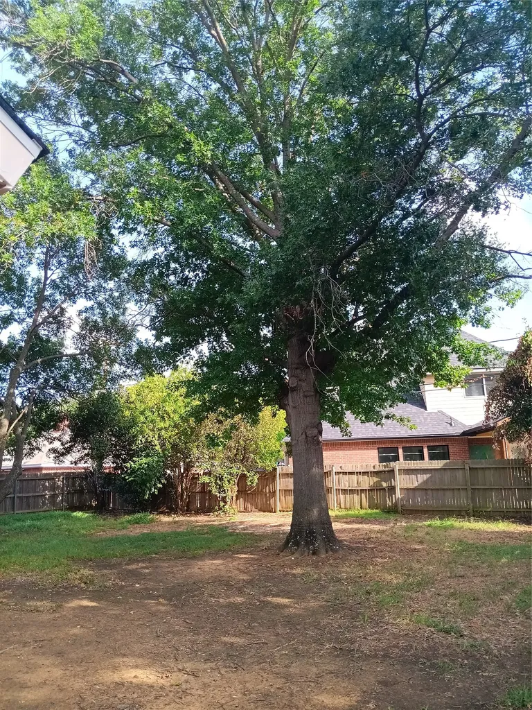 3618 Wentworth Drive Arlington TX 76001
