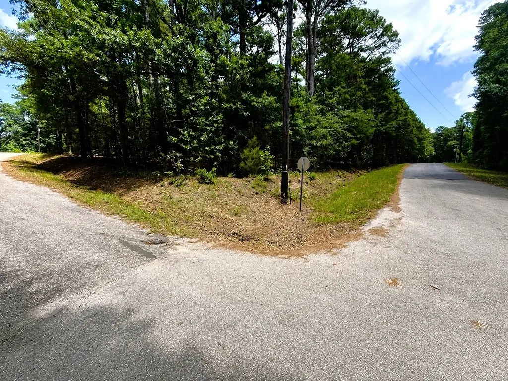 Tbd County Road 4556 Winnsboro TX 75494