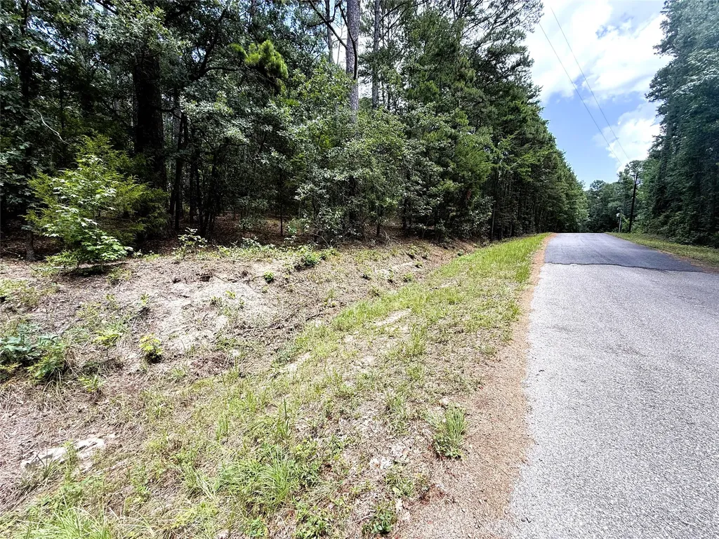 Tbd County Road 4556 Winnsboro TX 75494