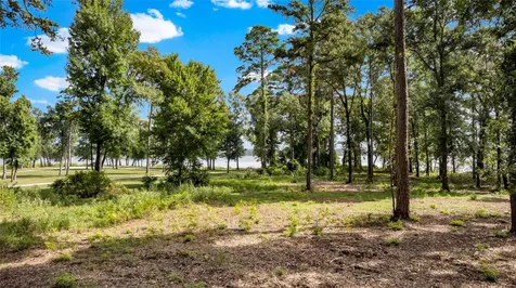 3168 Shadow Pine Drive Larue TX 75770