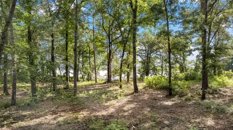 3168 Shadow Pine Drive Larue TX 75770