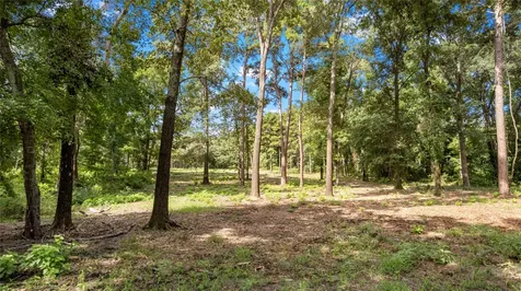 3168 Shadow Pine Drive Larue TX 75770