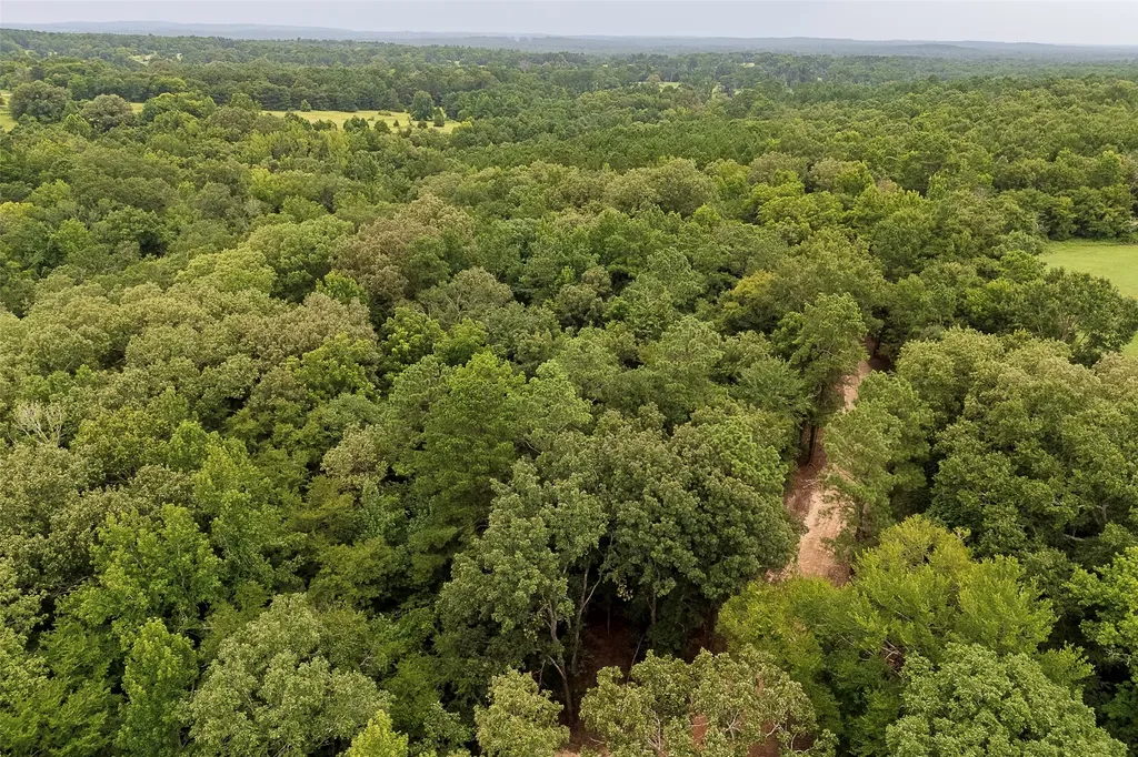 00 County Road 950 Cushing TX 75760