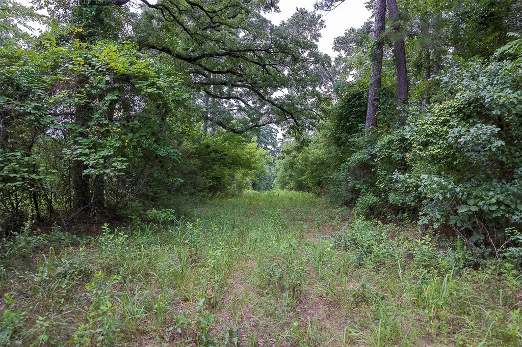 00 County Road 950 Cushing TX 75760