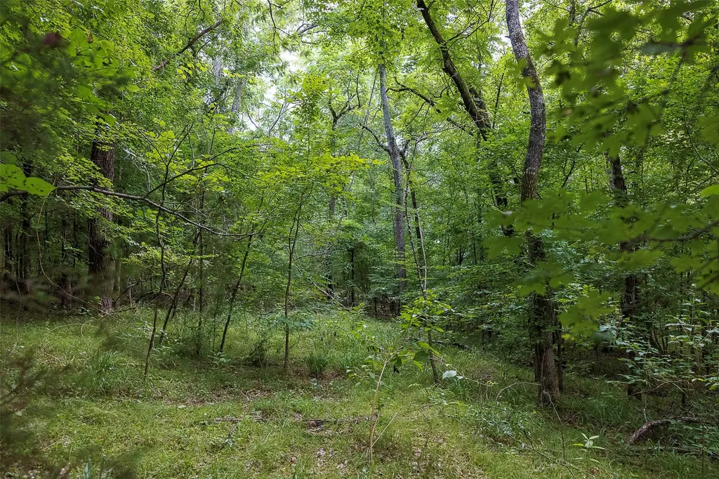 00 County Road 950 Cushing TX 75760