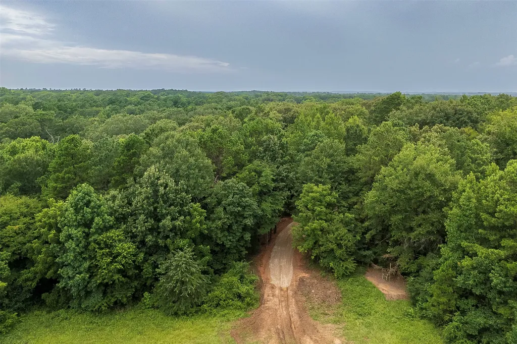 00 County Road 950 Cushing TX 75760