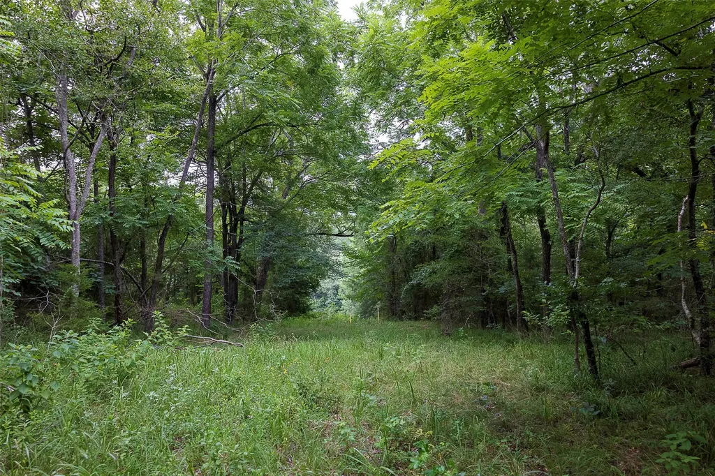 00 County Road 950 Cushing TX 75760