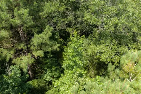 0 Cr 3154 De Berry TX 75639