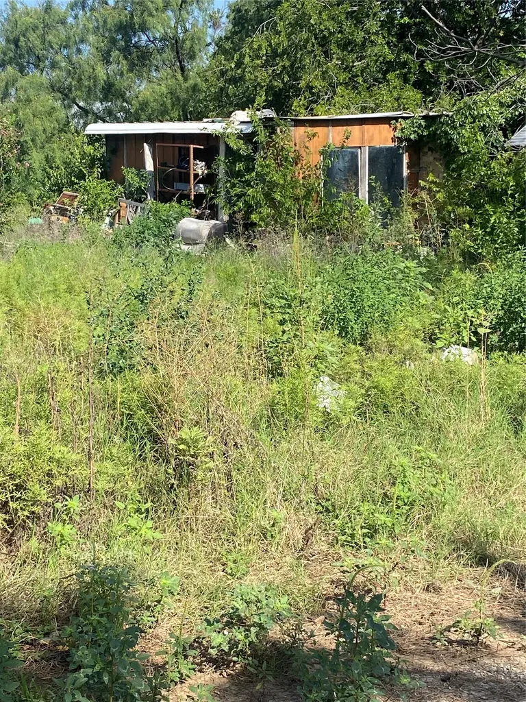 1311 N Blanco Street Coleman TX 76834