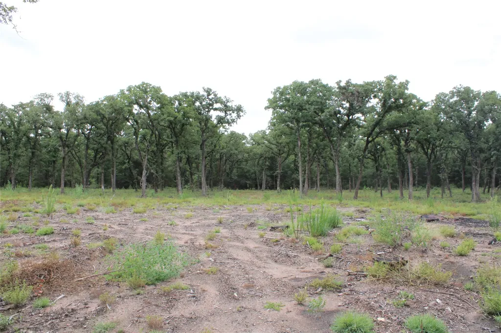 Tbd Tokio Loop West TX 76691