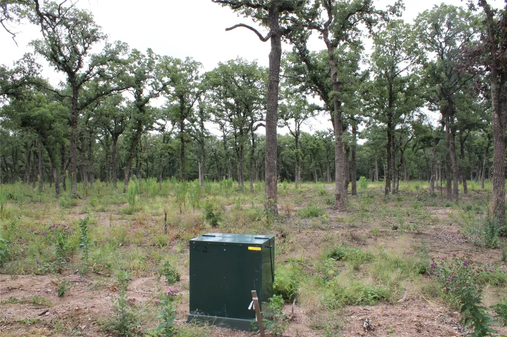 Tbd Tokio Loop West TX 76691