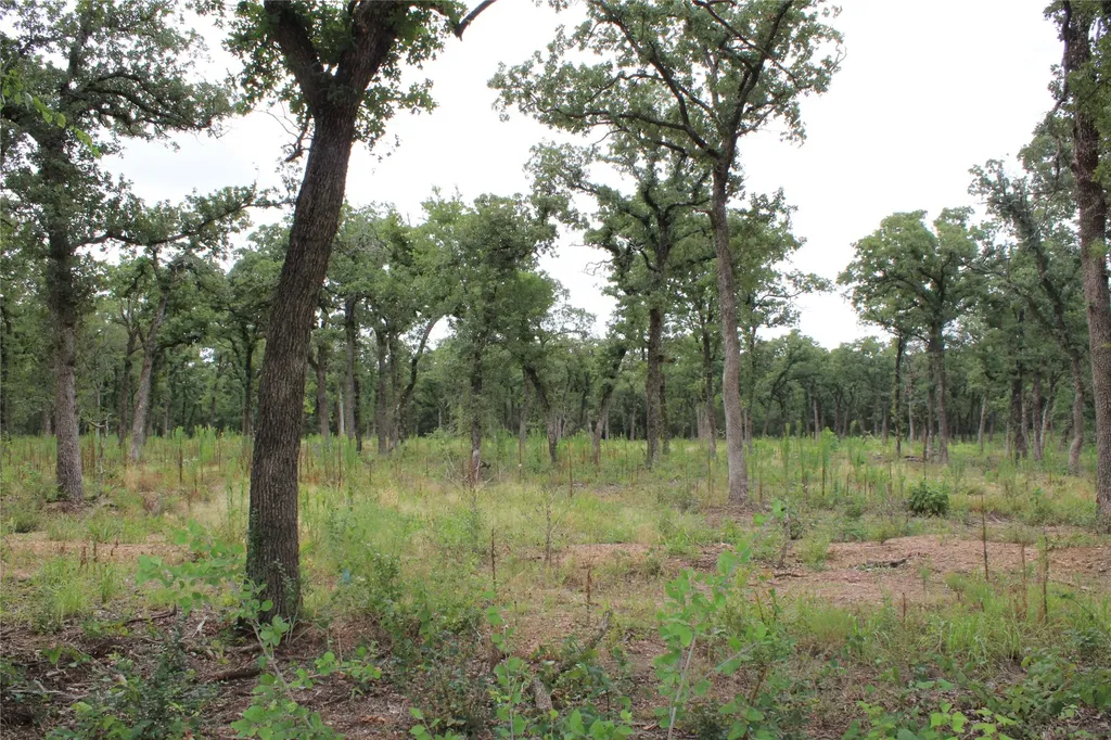 Tbd Tokio Loop West TX 76691