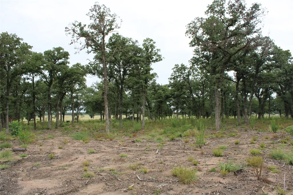 Tbd Tokio Loop West TX 76691