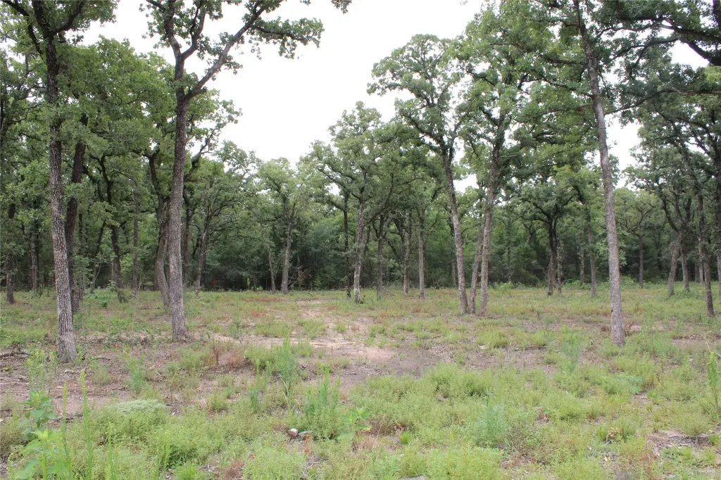 Tbd Tokio Loop West TX 76691