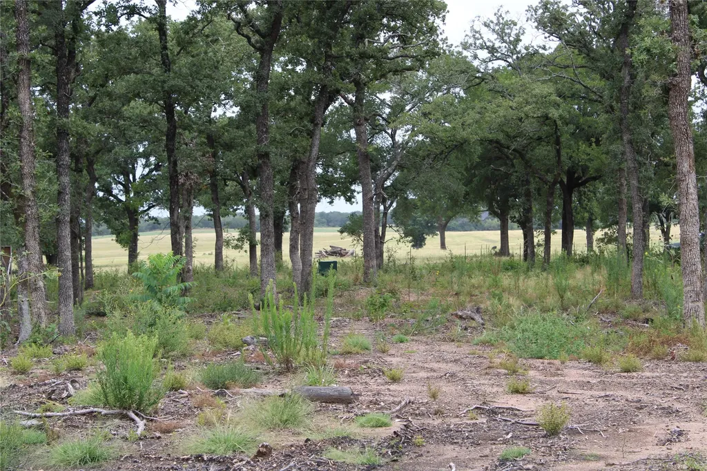 Tbd Tokio Loop West TX 76691