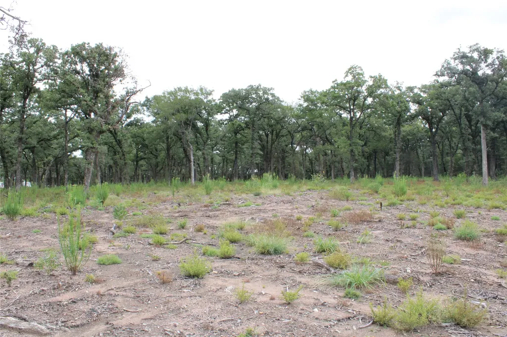 Tbd Tokio Loop West TX 76691