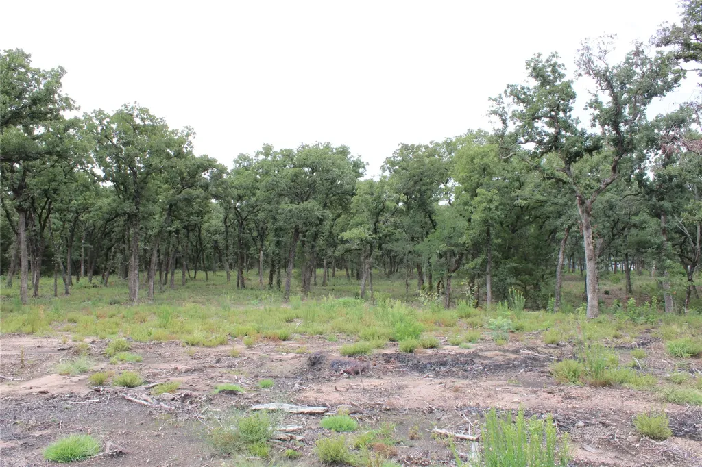 Tbd Tokio Loop West TX 76691