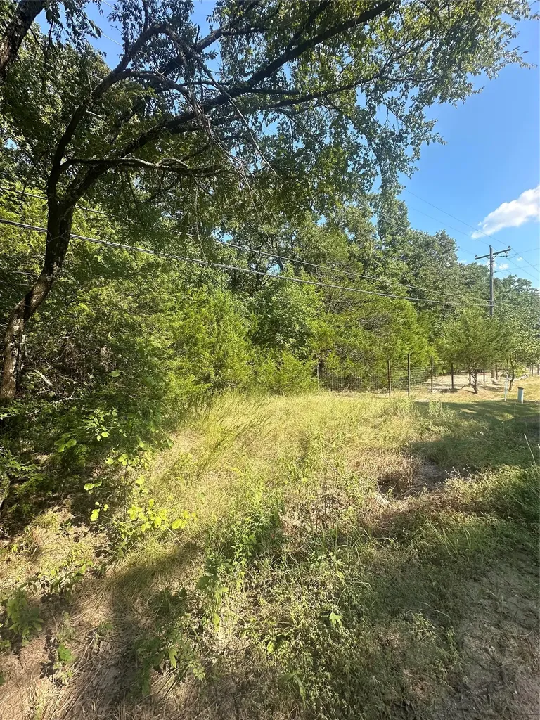 Lots 106-109 Private Road 3837 Quinlan TX 75474