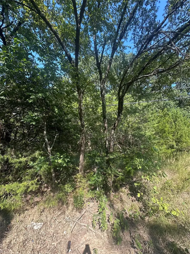 Lots 106-109 Private Road 3837 Quinlan TX 75474
