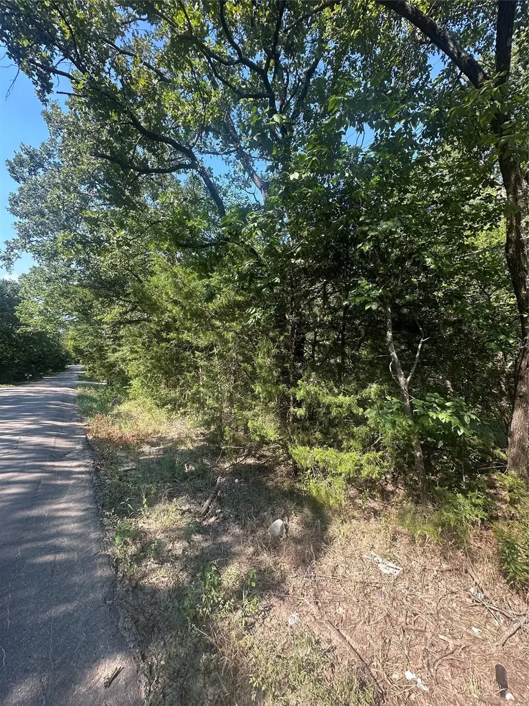 Lots 106-109 Private Road 3837 Quinlan TX 75474