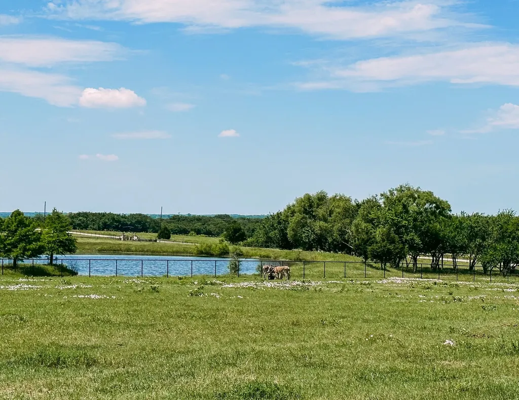 6865 Cr 177 Road Celina TX 75009