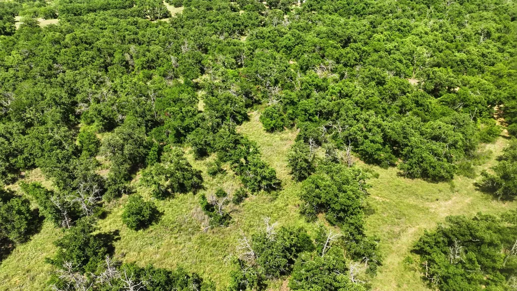 424 County Road 581 Cisco TX 76437