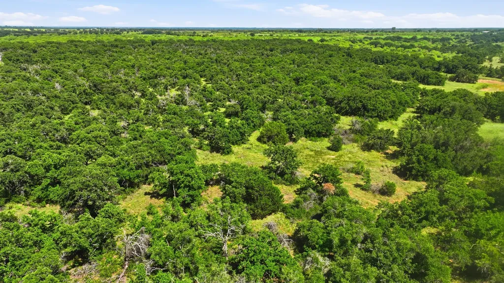 424 County Road 581 Cisco TX 76437
