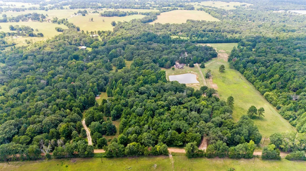 253 County Road 2412 Pickton TX 75471