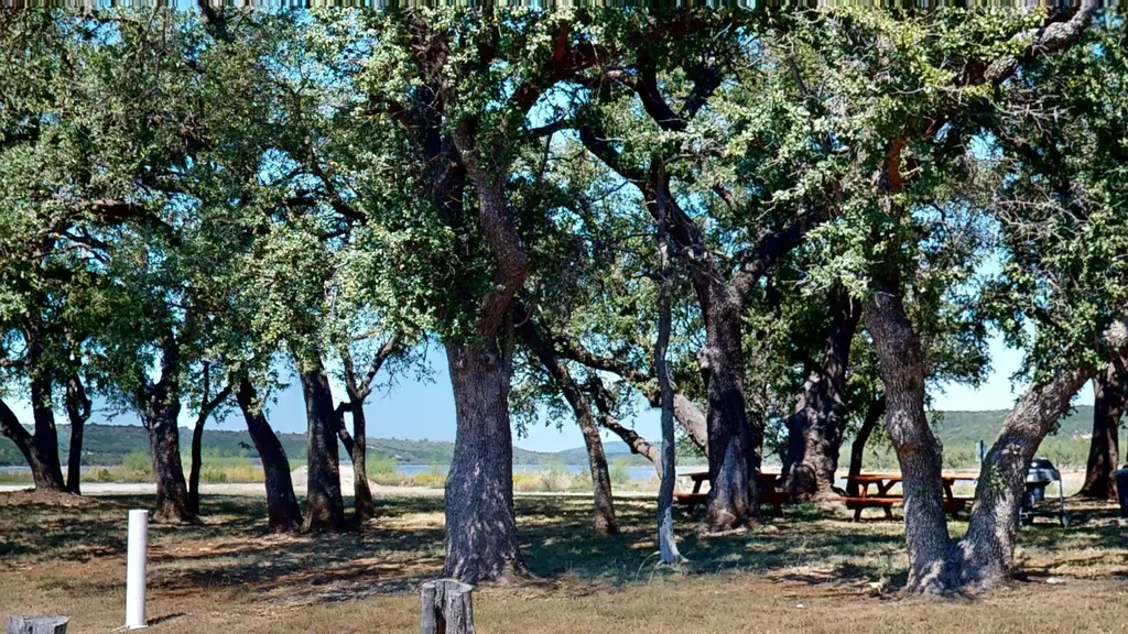 800 S Clear Cove Court Graford TX 76449