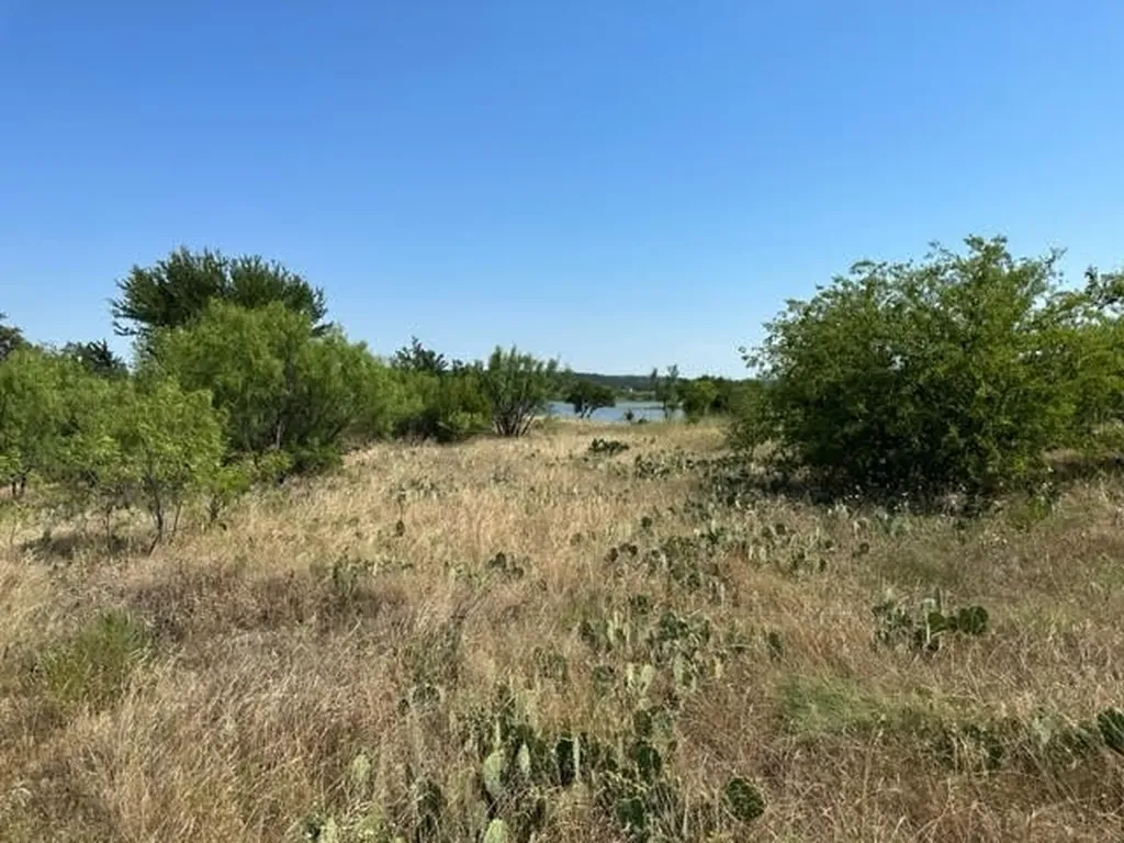 800 S Clear Cove Court Graford TX 76449