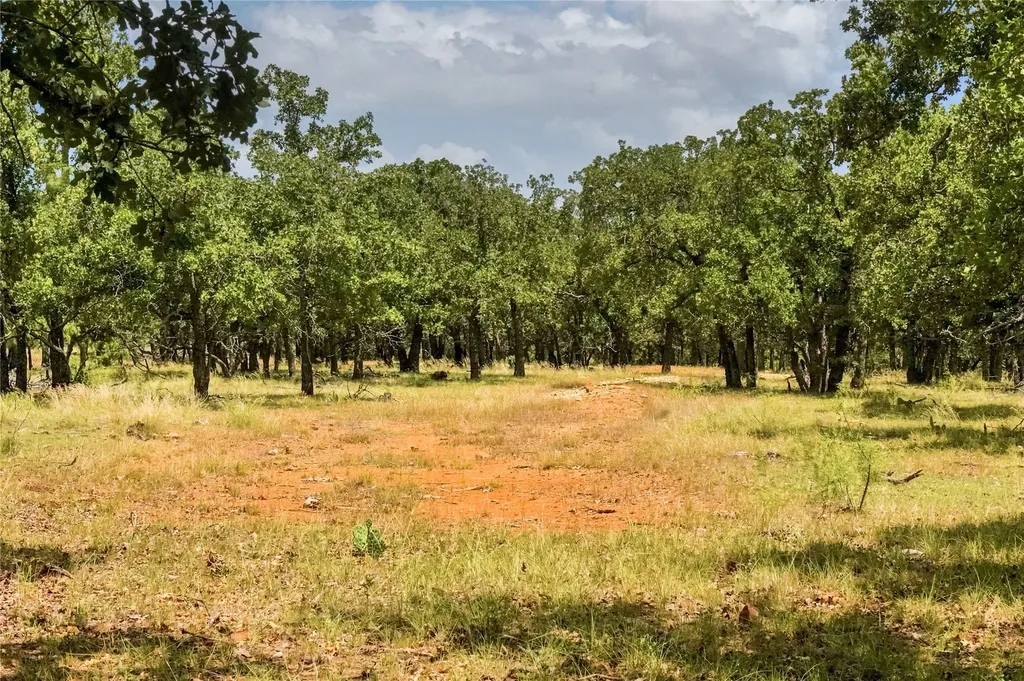 16.5 Acres Burwick Road Jacksboro TX 76458