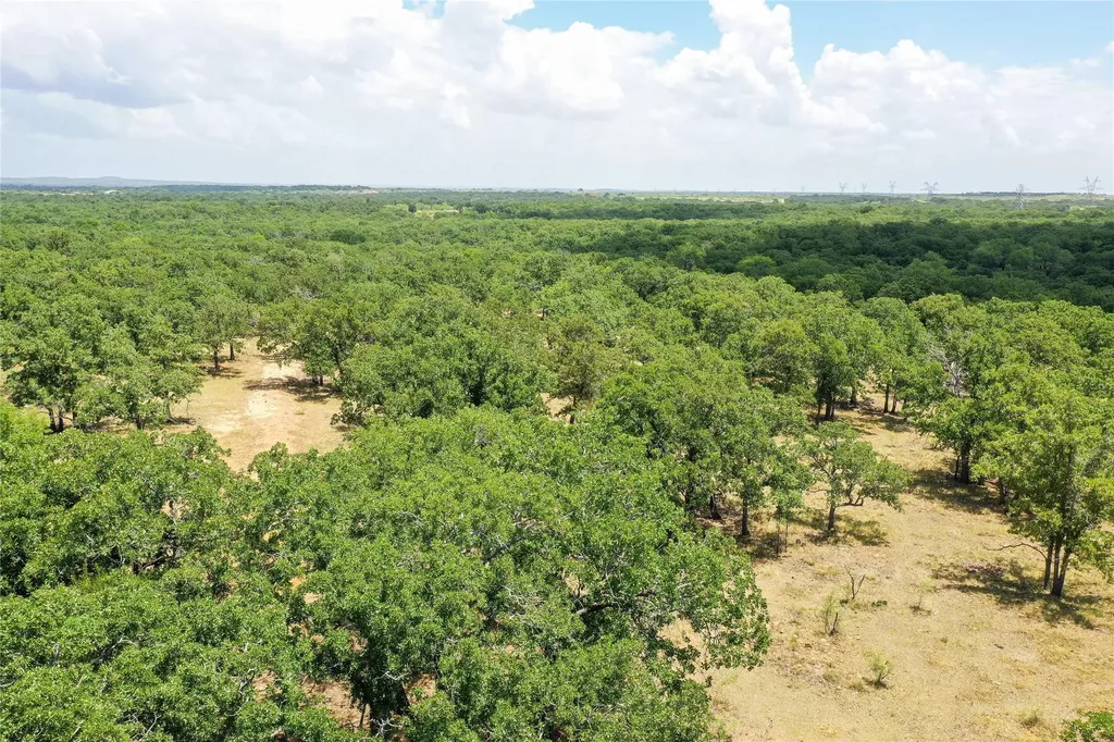 16.5 Acres Burwick Road Jacksboro TX 76458