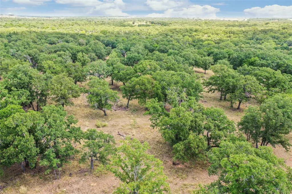 16.5 Acres Burwick Road Jacksboro TX 76458