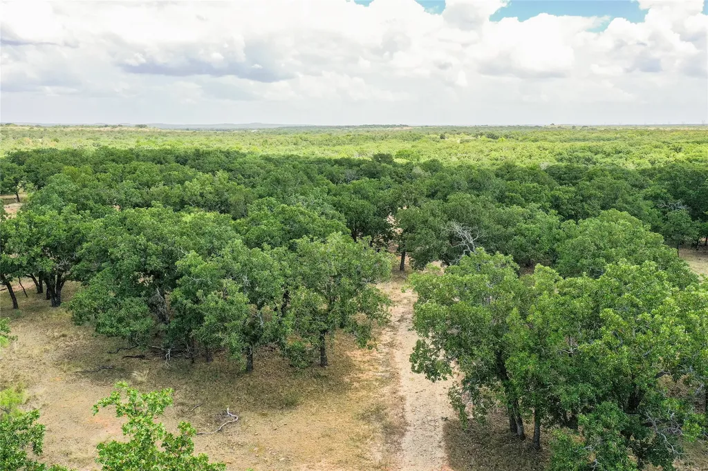 16.5 Acres Burwick Road Jacksboro TX 76458
