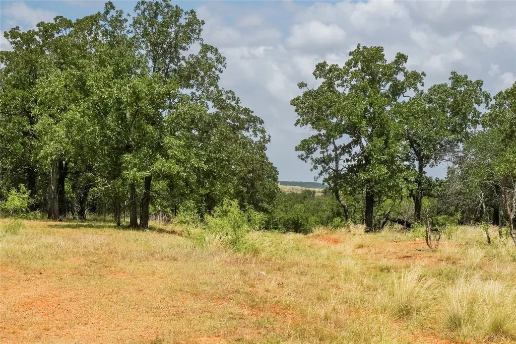 16.5 Acres Burwick Road Jacksboro TX 76458