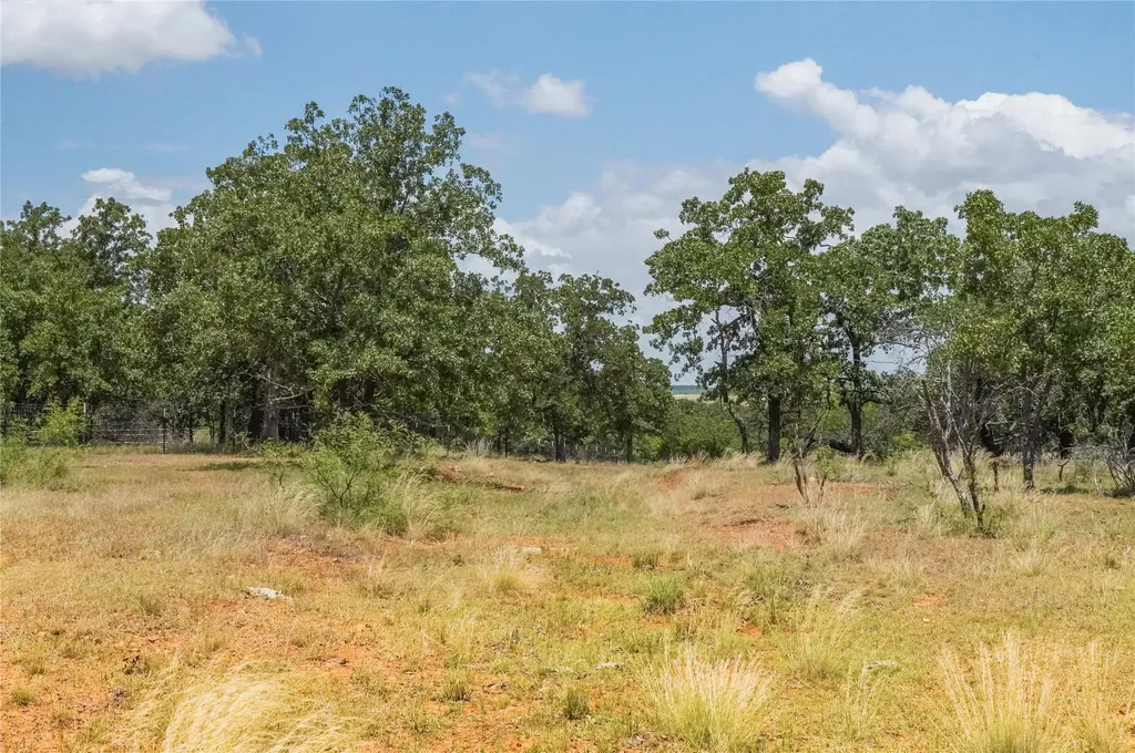 16.5 Acres Burwick Road Jacksboro TX 76458