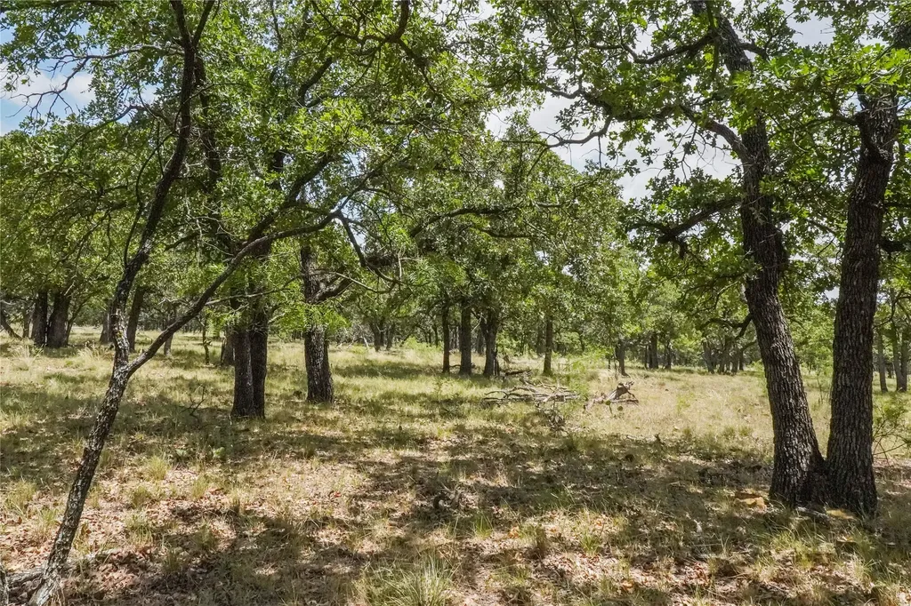16.5 Acres Burwick Road Jacksboro TX 76458