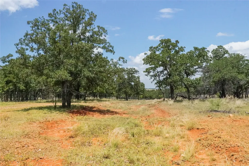 16.5 Acres Burwick Road Jacksboro TX 76458