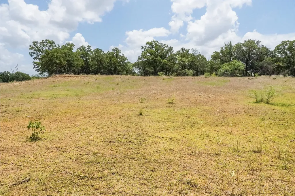 16.5 Acres Burwick Road Jacksboro TX 76458