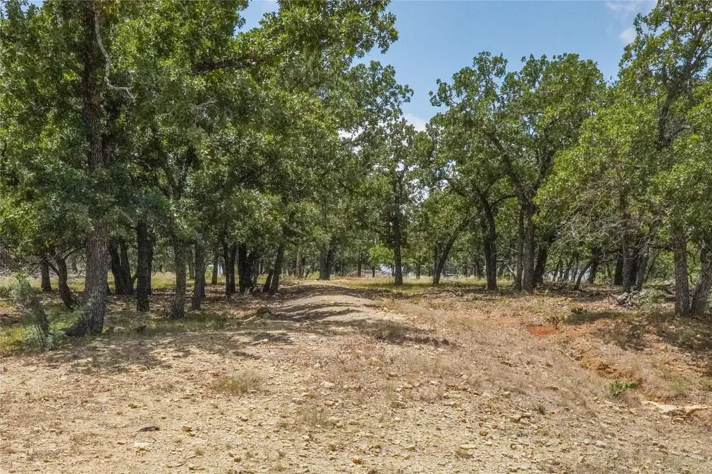 16.5 Acres Burwick Road Jacksboro TX 76458