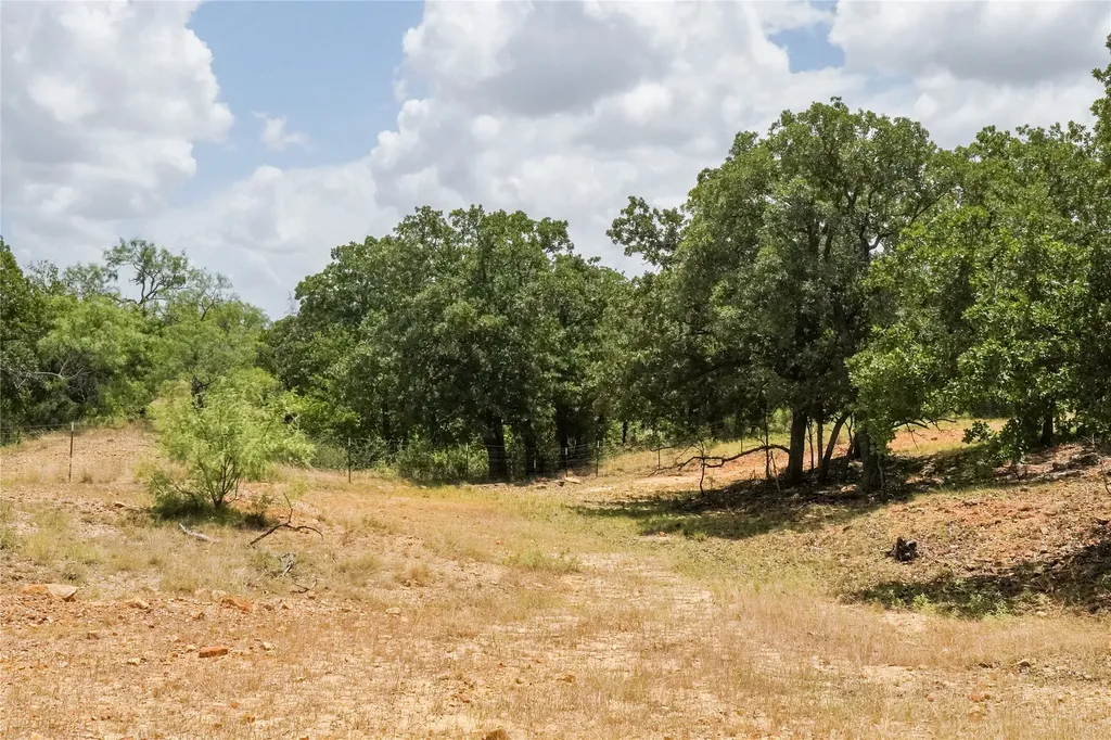 16.5 Acres Burwick Road Jacksboro TX 76458